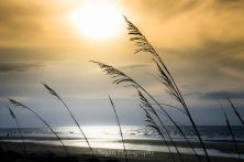 first light.jpg